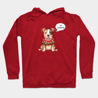 Sarcastic Christmas Cheer Hoodie